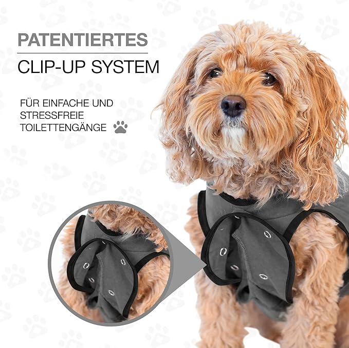 BellyGuard Dog Surgery Recovery Suit, Dog Onesie for Post-Op Care, Recovery Apparel for Female and Male, Surgical Body Cover for Canine Healing Support