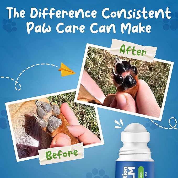Roll-On Dog Paw Balm - Moisturizer & Soothing Protection from Snow & Hot Pavements - Snout Soother for Dogs - Easy & Fast to Apply, Natural, Non-Toxic, Food-Grade, Lick-Safe Wax