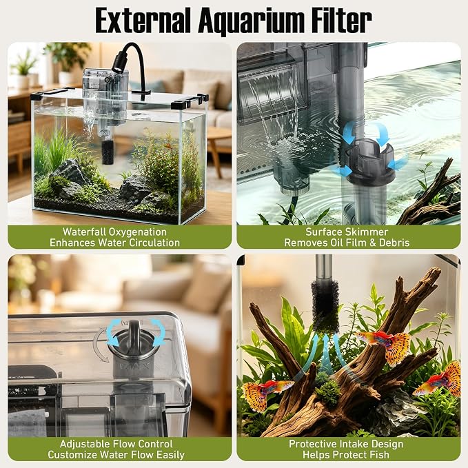 2.9 Gallon Small Glass Fish Tank Kit | Hang on Back Aquarium Filter, 3-Color LED Light, Glass Betta Fish Tank Kit with Removable Clear Lid and Non-Slip Mat