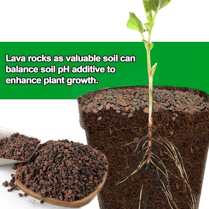 3lb Lava Rocks for Plants - Horticultural Volcanic Gravel for Drainage in Succulents, Bonsai, Terrariums and Landscaping