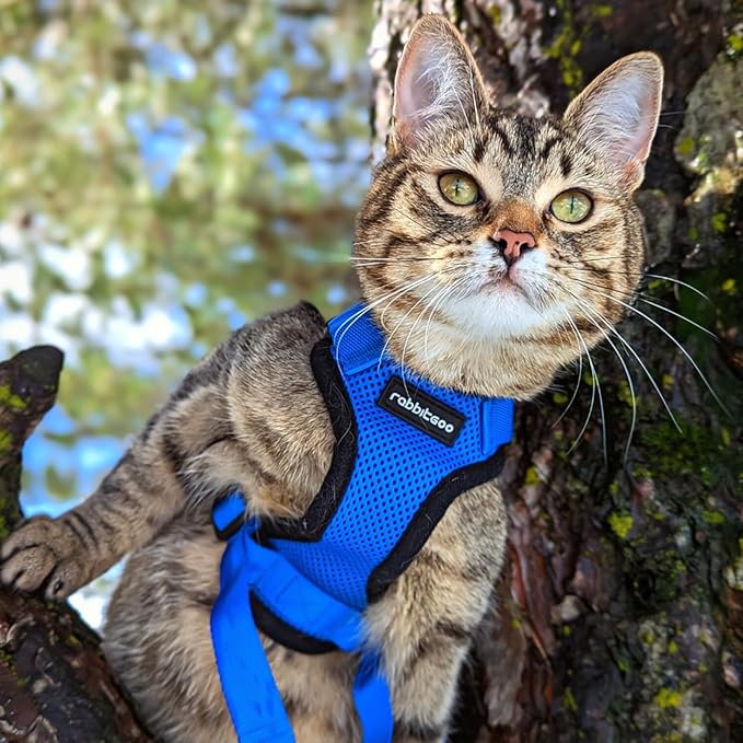 rabbitgoo Cat Harness and Leash for Walking, Escape Proof Soft Adjustable Vest Harnesses for Cats, Easy Control Breathable Reflective Strips Jacket, Navy Blue, XXS