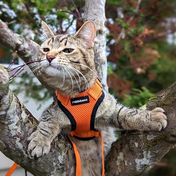 rabbitgoo Cat Harness and Leash for Walking, Escape Proof Soft Adjustable Vest Harnesses for Cats, Easy Control Breathable Reflective Strips Jacket, Orange, S