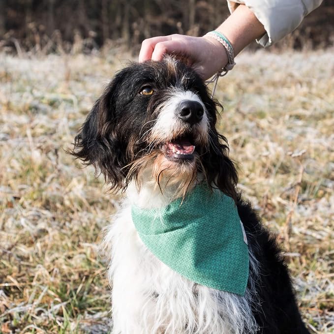 Pettsie Hemp Dog Bandana Collar & Matching Owner Friendship Bracelet | Adjustable, Durable Hemp & Soft Cotton, Matching Friendship Bracelet, Designed for Dog Lovers