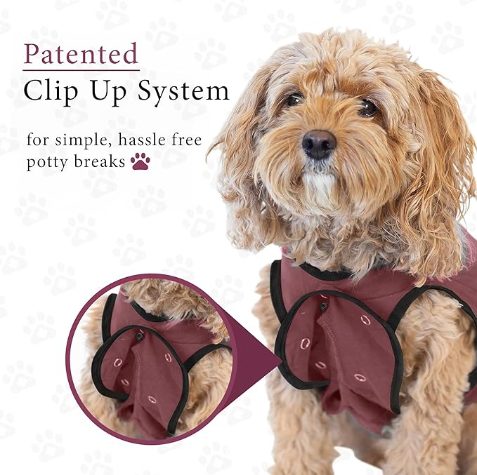 BellyGuard Dog Surgery Recovery Suit, Dog Onesie for Post-Op Care, Recovery Apparel for Female and Male, Surgical Body Cover for Canine Healing Support