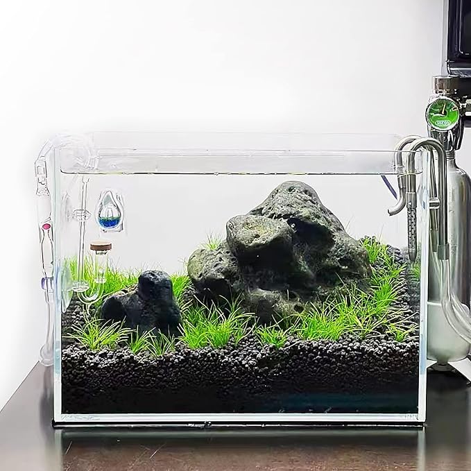 Allcolor Artisan Grade Ultra Clear Rimless Aquarium Tank (6Gal) | Low Iron Glass Fish Tank for Professional Aquascaping and Planted Layouts, 6-60 Gallons (6Gal-Top Glass Canopy)