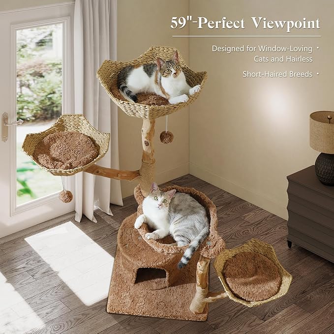 MUTTROS 59" Cat Tree Tower with Real Solid Wood Natural Branch, Modern Cat Tree for Large Cats w/3 Handwoven Wicker Baskets- Luxury Boho Cat Furniture w/Condo & Soft Hammock, Scratching Post, Brown