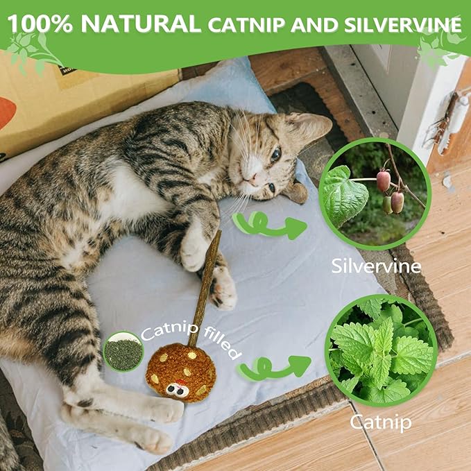Silvervine Sticks for Cats (3-Pcs), Catnip Lollipop Cat Toy for Indoor Cats, Natural Cat Chew Toys for Kitten Teething and Teeth Cleaning