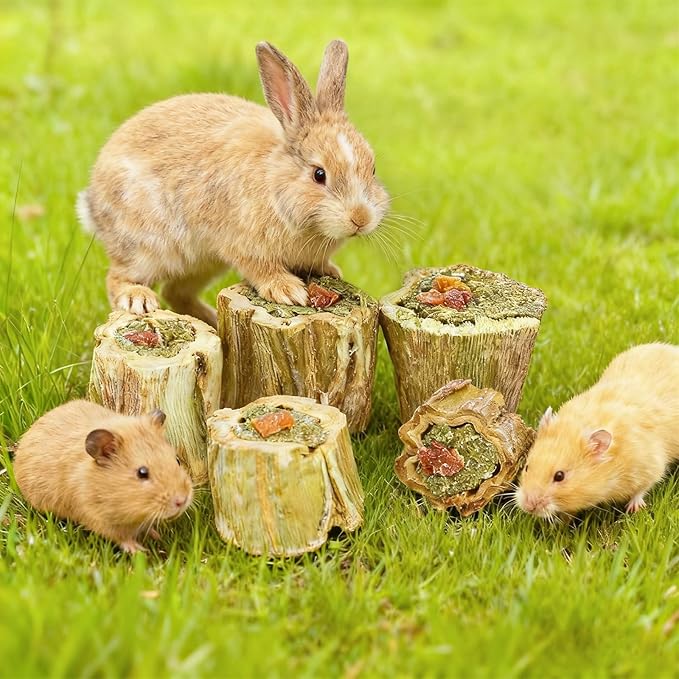 3.5oz Rabbit Chew Toys for Teeth,Bunny Papaya Wood Chew Toys Guinea Pig Treats with Apple Stick for Rabbits Guinea Pigs Hamsters Chinchillas Gerbils Prevent Teeth Overgrowth (3.5 oz, Fruit)