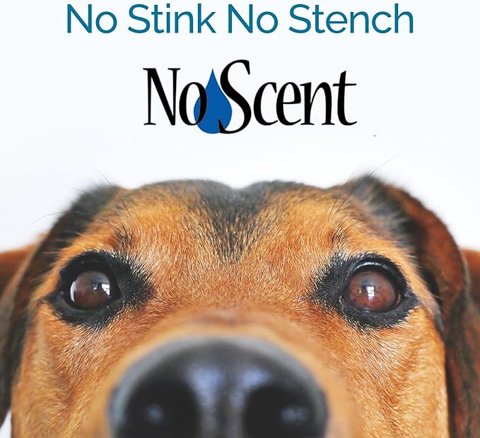 No Scent Anal Gland Express & Skunk Spray Pet Fur Cleaner for Dogs & Cats (32 Fl Oz / 946 mL)