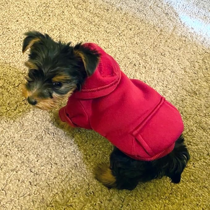 Jecikelon Winter Dog Hoodie Sweatshirts with Pockets Warm Dog Clothes for Small Dogs Chihuahua Coat Clothing Puppy Cat Custume (Wine red, XX-Small)