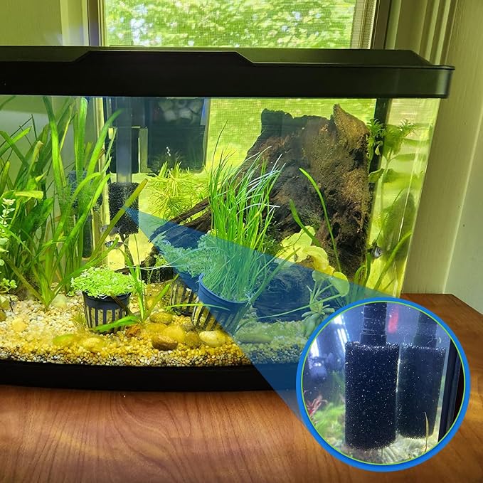 Sankoly 12 Pieces Aquarium Filter Sponge 0.8 Inch | Intake Shrimp Filter Coarse Sponge Filter for Aquarium Fish Tank, Protect Fish Fry and Shrimp, Black