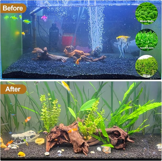Natural Driftwood Decor for Aquarium Decorations Reptile Tank Accessories, Assorted Wood Branches Decorations on Reptile Fish Tank 2-10" 2 Pcs/4 Pcs/ 5 Pcs/ 6 Pcs (Pack of 5 (3.9 to 6 Inch))