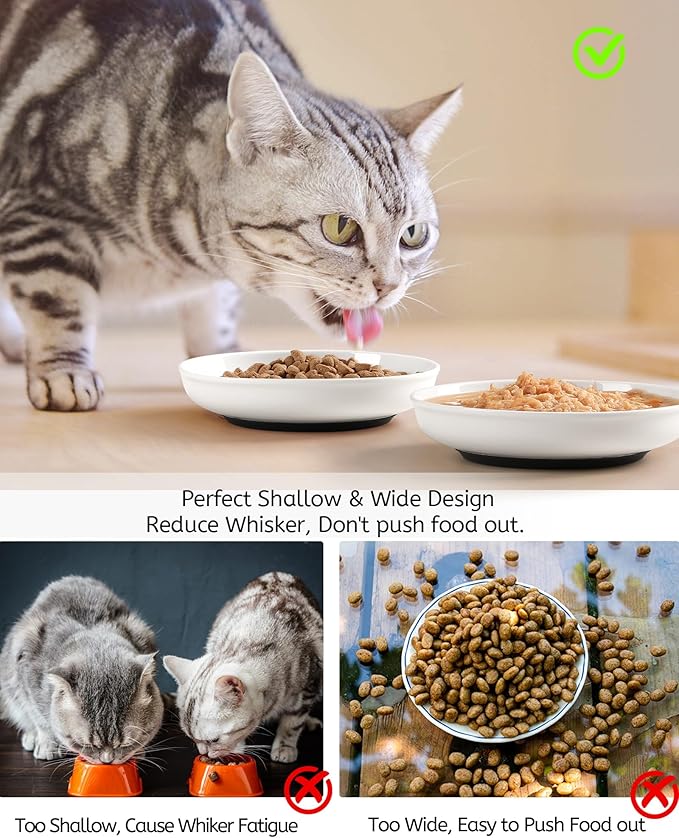 WROSWT No Spill Cat Bowls,Cat Food Bowl,Anti Whisker Fatigue Healthy Ceramic Cats Dishes Set for Indoor Cats,Shallow Wide Kitten Plates for Food and Water,Non-Slip Silicone Bottom,6 Pack