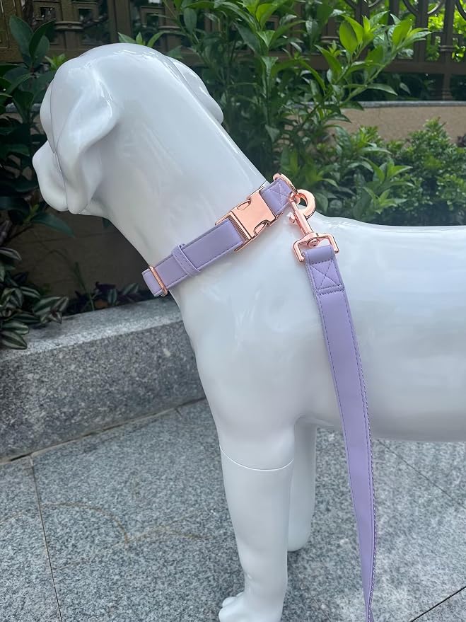 Dog Collar and Leash Set.Soft and Easy to Clean Vegan Leather with Rose Gold Metal Buckle for Small Medium Large Dogs (Light Purple, XS(8"-12"))