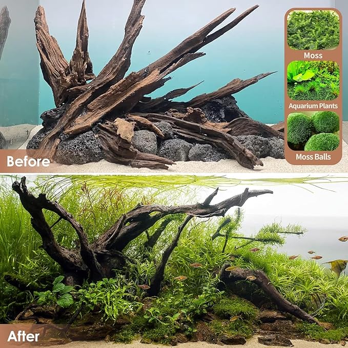 Jorewood Natural Large Aquarium Driftwood for Fish Tanks & Reptile Terrariums – 100% Safe Fish Tank Decorations, 2-Piece 10-14 Inch Unique Twisted Branches Low Tannin, Easy to Sink