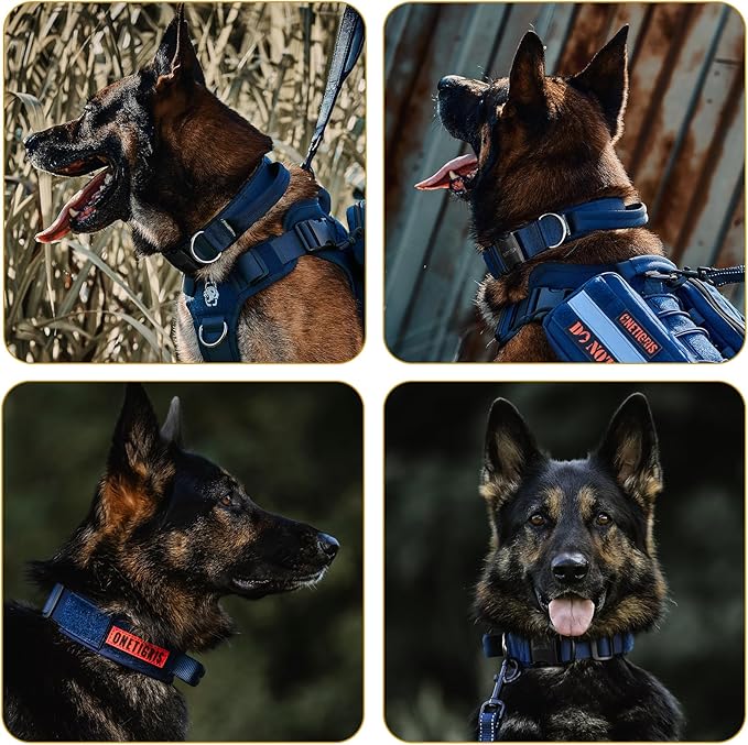 OneTigris Tough Dog Collars, Tactical Dog Collar with Handle, Milltary Adjustable Dog Collar with Heavy Duty Metal Buckle for Training (Medium,Blue)