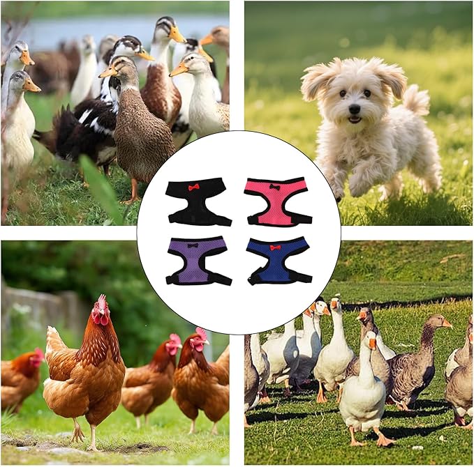 4 Pcs Chicken Harness and Leash, Adjustable Elastic Training Chicken Leash for Hens Duck Goose Pet (Medium)
