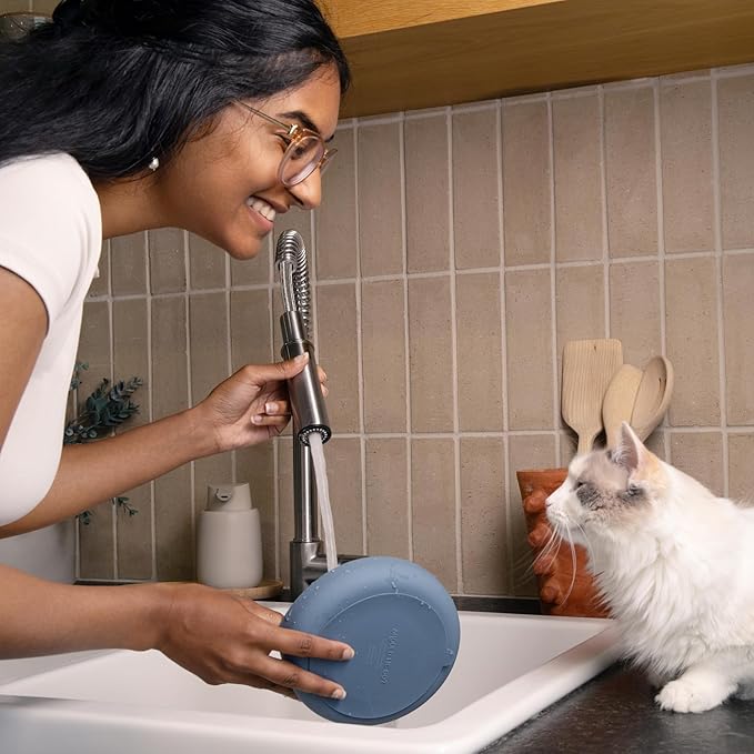 Should We Go? - The Slowdown Bowl Silicone Slow Feeder for Cats & Kittens, Slow Eating Mealtime Solution with Modern Lick Mat Design, Reduces Gulping, Fits 1 Cup 6” Across x 1.25” Tall, Small-Tan