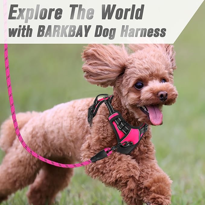 BARKBAY No Pull Dog Harness Front Clip Heavy Duty Reflective Easy Control Handle for Large Dog Walking(Pink,XS)