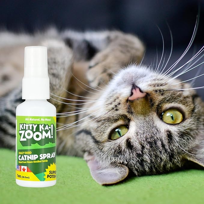 Catnip Spray - 4oz. Bottle | High Potency Catnip Spray Made from Steam-Distilled Natural Plants | Hand Harvest Grown in Canada and The USA