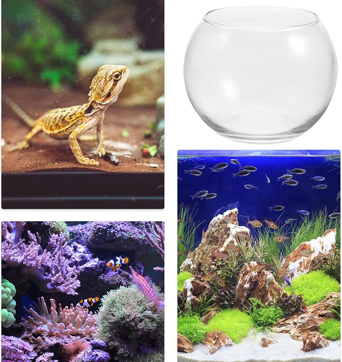 Baluue Round Glass Fish Bowl 4.72 X 3.54 in Clear Bubble Bowl for Fish Plants Flowers Shells and Crafts Desktop Decorative Vase Terrarium for Home Office Shelf