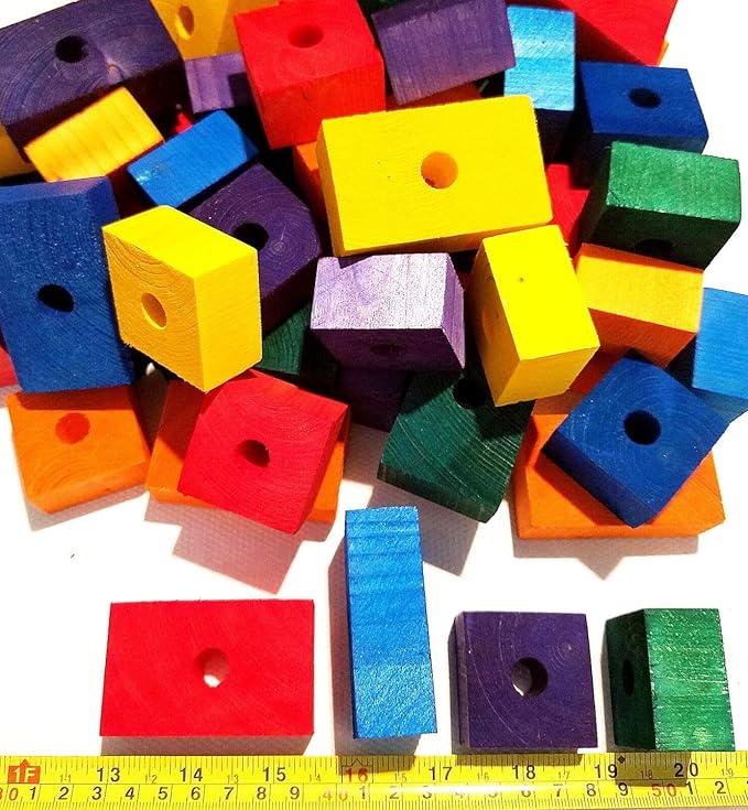 Wooden Colored 60 Wood Blocks USA Ramzesantique Product Bird African Grey Cockatoo Macaw