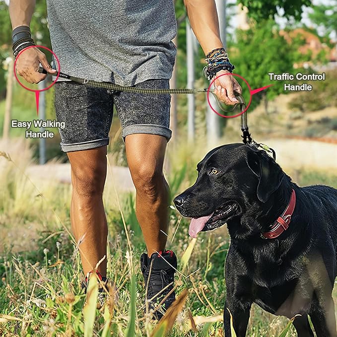 Raipult Tactical Heavy Duty Dog Leash,4-6FT Strong Bungee Dog Leashes with Frog Clip & Car Seatbelt,Reflective Walking Lead with 2 Handles for Medium Large Dogs,Green