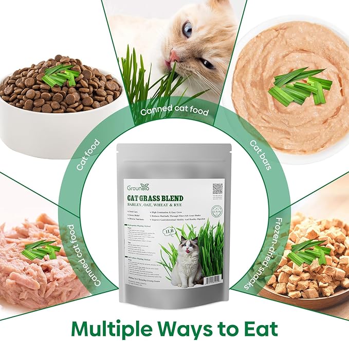 Cat Grass Seeds, 16OZ Non-GMO Barley, Oats, Wheat, Rye 4 Varieties Seed, Fast & High Germination, Heirloom Grown in USA for Indoor Cats