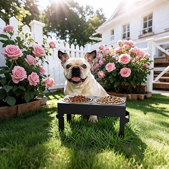 Elevated Dog Bowls, 4 Height Adjustable Raised Bowl Stand with 2 Stainless Steel 7" Food Feeder Bowls for Small Medium and Large Dogs (Plastic)