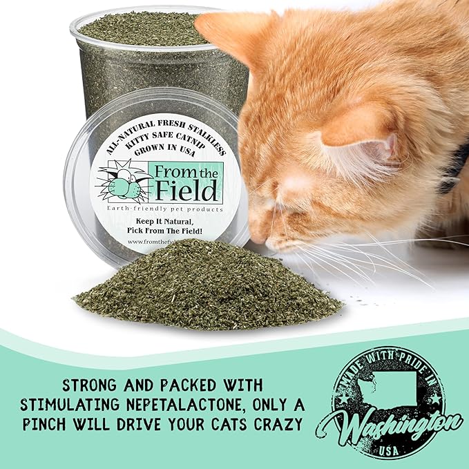from The Field | Fine Ground Stalkless Catnip | Premium USA-Grown Catnip for Toys & Playtime | Fresh, Potent, Non-Toxic, Eco-Friendly | Safe for Kittens & Cats | Resealable 1.5 Oz Bag