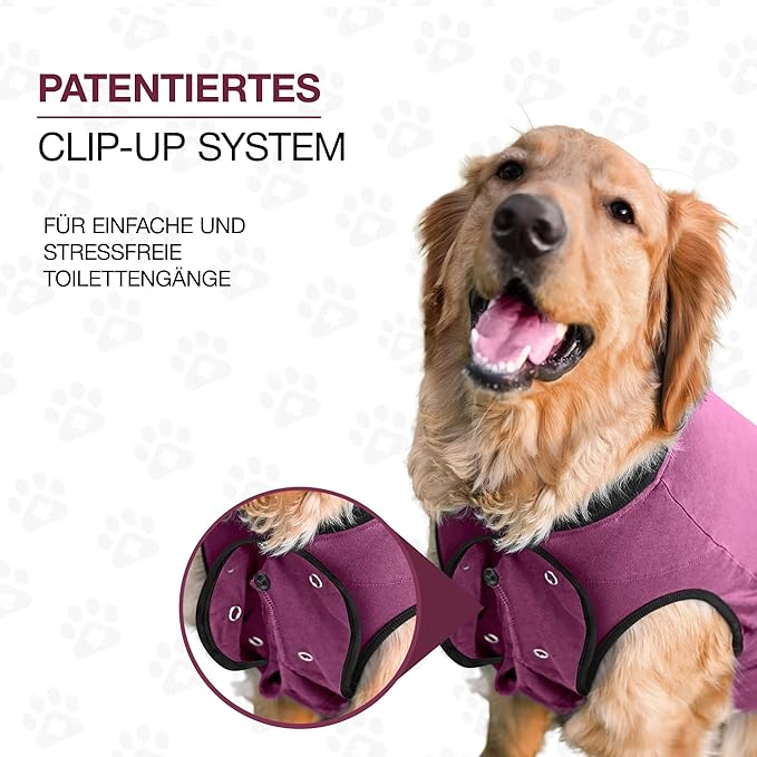 BellyGuard Dog Surgery Recovery Suit, Dog Onesie for Post-Op Care, Recovery Apparel for Female and Male, Surgical Body Cover for Canine Healing Support