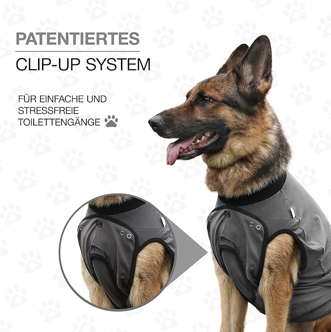 BellyGuard Dog Surgery Recovery Suit, Dog Onesie for Post-Op Care, Recovery Apparel for Female and Male, Surgical Body Cover for Canine Healing Support