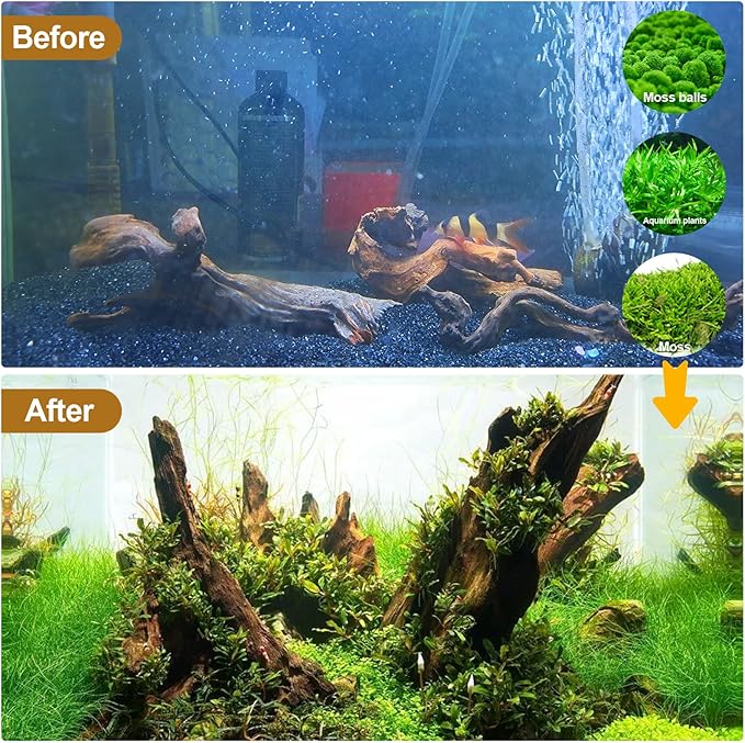 Natural Driftwood Decor for Aquarium Decorations Reptile Tank Accessories, Assorted Wood Branches Decorations on Reptile Fish Tank 2-10" 2 Pcs/4 Pcs/ 5 Pcs/ 6 Pcs (Pack of 4 (5. to 8 Inch))
