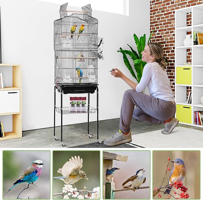 64 inch Bird Cage, Wrought Iron Parakeet Cage Bird Cages for Cockatiels, Medium Small Parrots, Conures, Lovebirds, Budgies, Finches, Detachable Rolling Stand & Play Open Top & Storage Shelf, Black