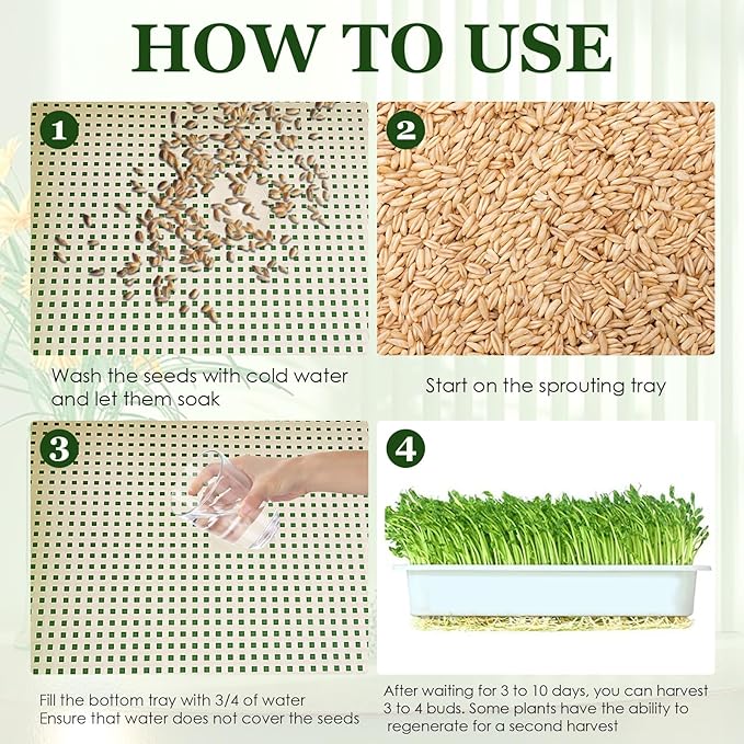 10 Pack Seed Sprouter Tray, Sprouter Microgreens Growing Kit BPA Free Nursery Tray Big Capacity Sprouts Growing Kit for Indoors or Outdoors Sprouting Seeds, Cat Grass, Beans, Wheatgrass