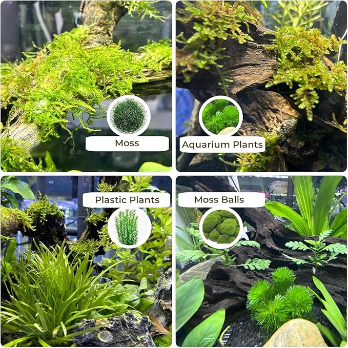 3-Piece 6-10 inch Natural Aquarium Driftwood Decorations - Aquascape Decor for Fish Tanks, Betta Hideouts, Reptile Enclosures & Plant Attachment
