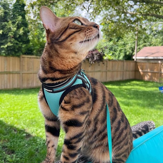 rabbitgoo Cat Harness and Leash Set for Walking Escape Proof, Adjustable Soft Kittens Vest with Reflective Strip for Cats, Comfortable Outdoor Vest,Green,M