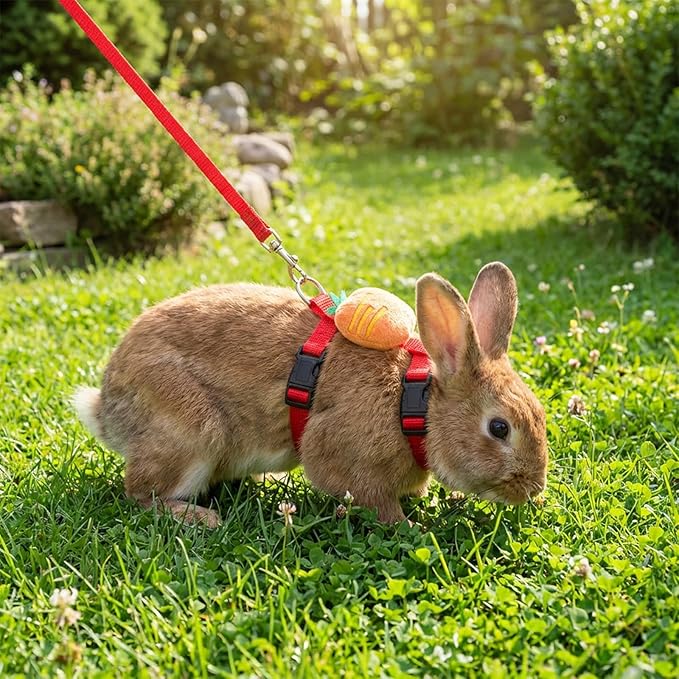 Adjustable Bunny Rabbit Harness and Leash Set, Cute Vest Harness for Small Pets, Guinea Pig, Ferret, Kitten, Puppy, Bunny Accessories for Rabbits