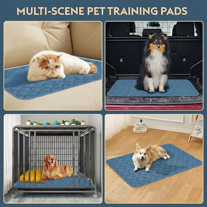 FunFurry Washable Pee Pads for Dogs - 2 Pack Reusable Pee Pads,Waterproof Puppy Pads,Pet Training Pads,Super Absorbent with Dog Paw Shape Non-Slip Backing (Blue, 41" X 41" - 2 Pack)