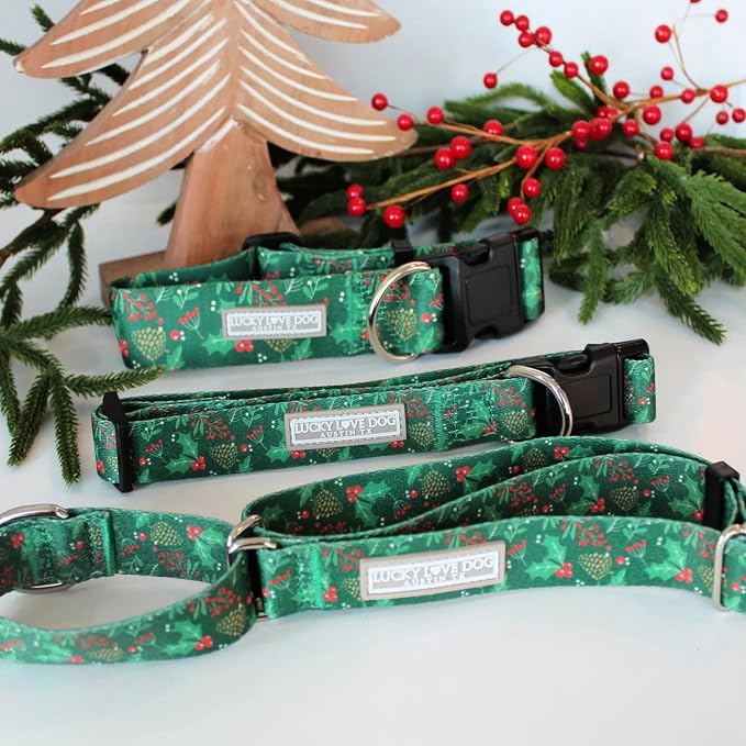 Lucky Love Dog - Easy Click Holly Dog Collar with Leash Set Combo, Durable & Comfortable for Male & Female Dogs, Pet Collar for Medium Dogs, Secure Fit - Holly Combo, Medium