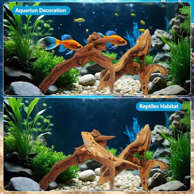 3 PCS Large Natural Aquarium Driftwood 8-10", Aquarium Drift Wood for Fish Tank Decoration, Assorted Size Mopani Wood Twisted Branches Trunk Decor for Freshwater, Reptile Terrarium
