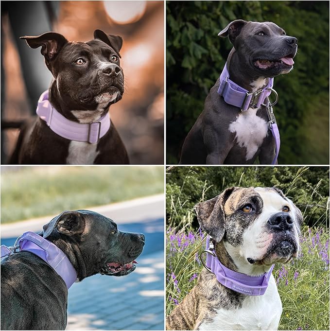 Spark Paws Tactical Dog Collar - Heavy Duty, Premium Quality, Thick and Durable for Large and Medium Dogs - Purple - L - 1.5"
