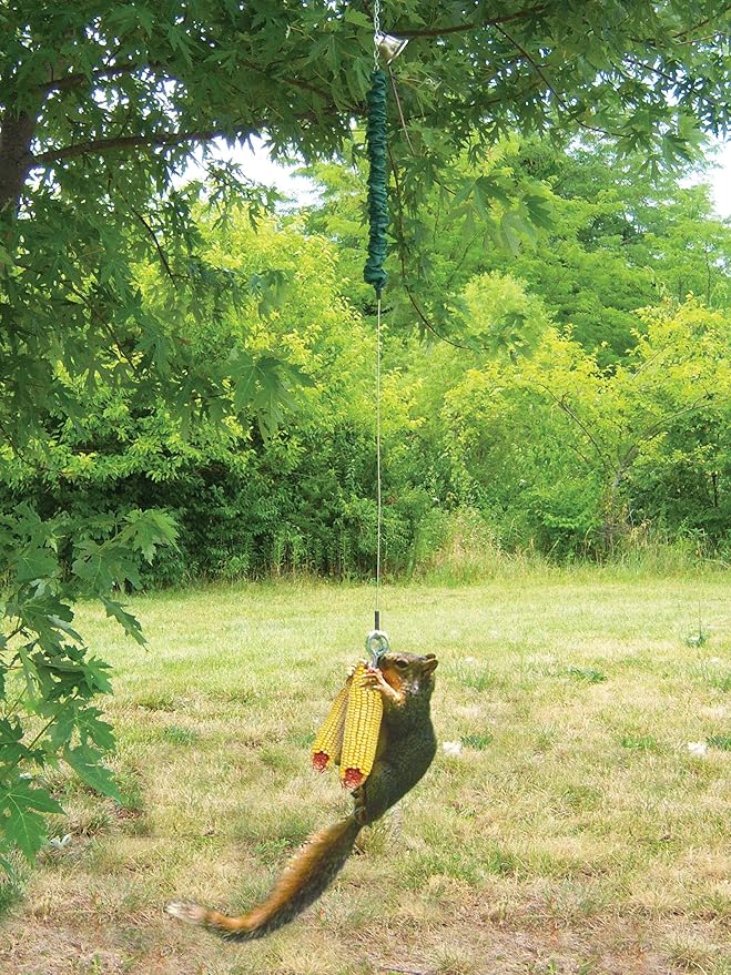 Songbird Essentials Squngee Squirrel Feeder, Amusing Bungee and Bell Squirrel Feeder, Holds 2 Ears of Corn