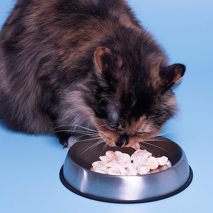 Dr. Catsby's Food Bowl for Whisker Relief