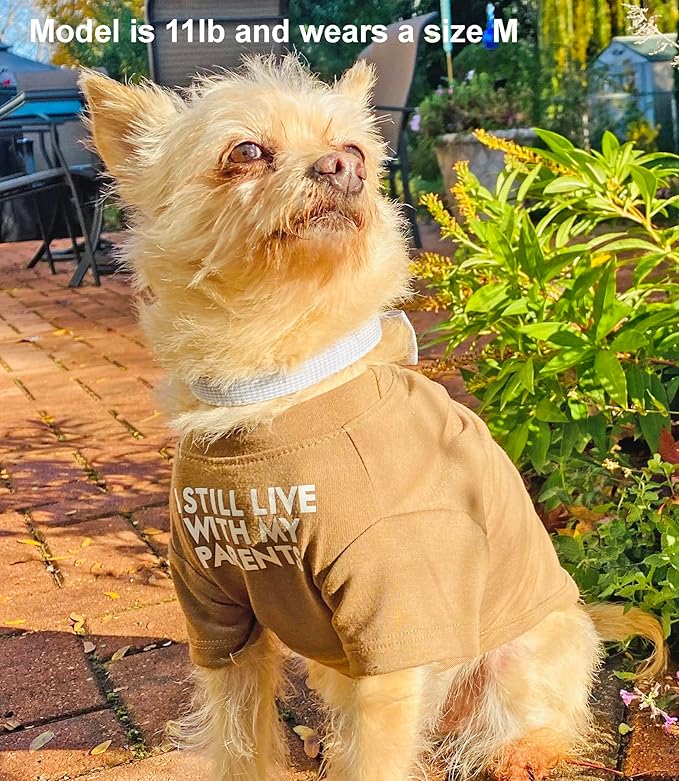 Cute Dog Clothes,Dog T Shirt for Girl/Boy Medium and Small Dogs,Puppy.Breathable Soft Pet Costume for Pet Dogs Cats,Pet Pullover Jumper,Cat Clothes (XXL-(19~23lb), Chest~21.5", Khaki)