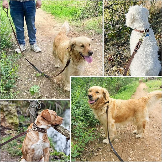 Leather Dog Leash 4ft x 3/4 inch,Strong Heavy Duty Genuine Leather Braided Dog Training Leash, Soft and Comfortable for Large Dogs, Medium Small Dogs (Brown, 4FT*3/4in)