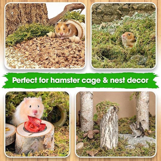 Duspro 5oz Hamster Bedding, Natural Forest Moss Bedding for Hamster, Hamster Bedding Odor Control, Decorate Hamster Hideout with Moss.