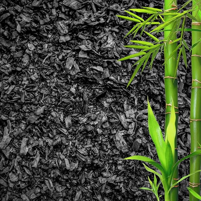 GARDENWISE Horticultural Charcoal for Plants – Organic Bio Char Soil Amendment for Terrariums, Indoor Plants & Gardening, Made in USA (15 quarts)
