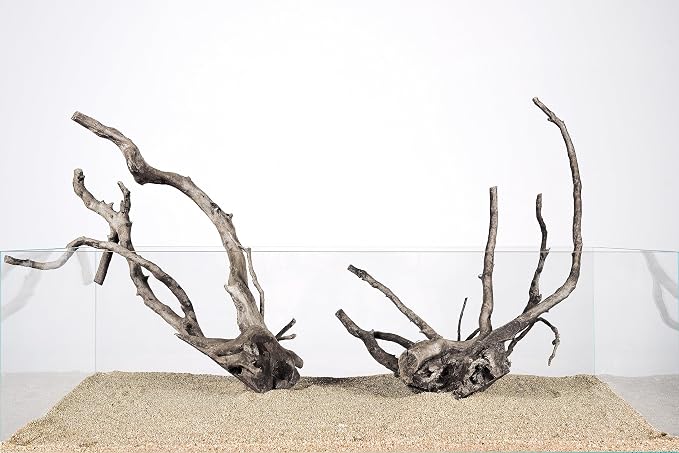 Spider Wood Natural Aquarium Decor Branches 4pcs 12-16in Aquascape | Slim branchy shapes; betta and aquascape tank