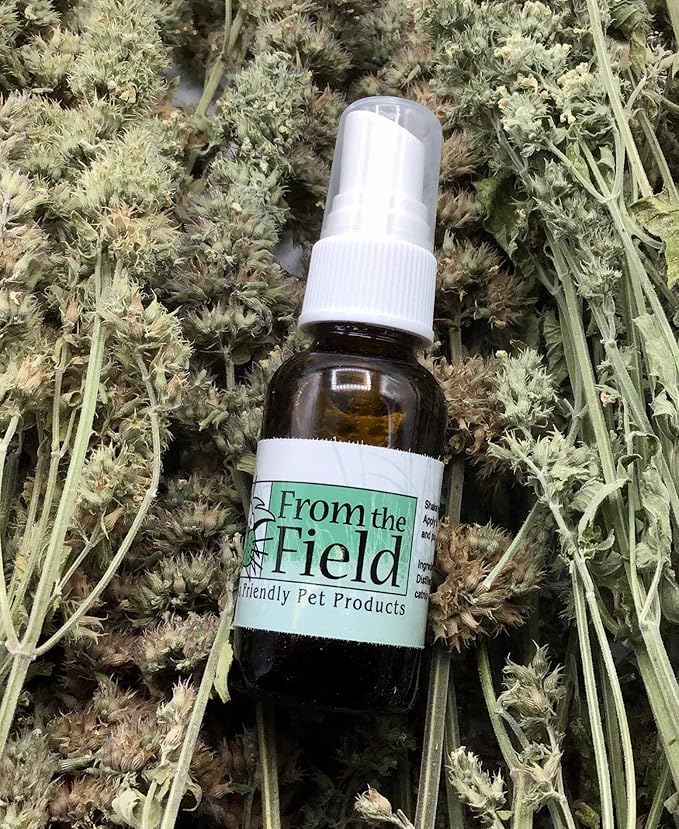from The Field | Catnip Spray Rejuvenator | Potent Catnip Essential Oil for Cats | Revives Toys & Scratching Posts | Mess-Free & All-Natural | USA-Made, Safe & Non-Toxic | 1 oz Bottle